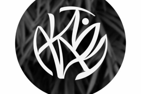 logo avantim